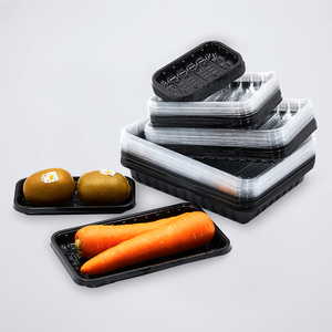 Bandeja plástica disponible del envasado de alimentos congelados de la serie multi dimensión disponible del refrigerador