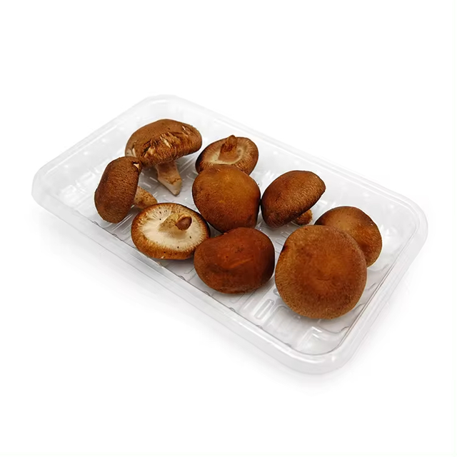 Bandeja disponible modificada para requisitos particulares de la comida de los PP del supermercado para la bandeja de la comida congelada de la carne fresca de la fruta vegetal 